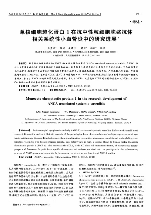 单核细胞趋化蛋白-1在抗中性粒细胞胞浆抗体相关系统性小血管炎中的研究进展