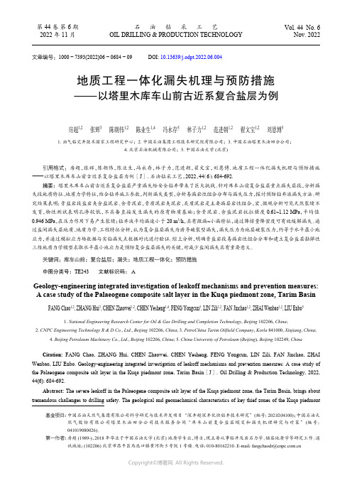 地质工程一体化漏失机理与预防措施——以塔里木库车山前古近系复合盐层为例