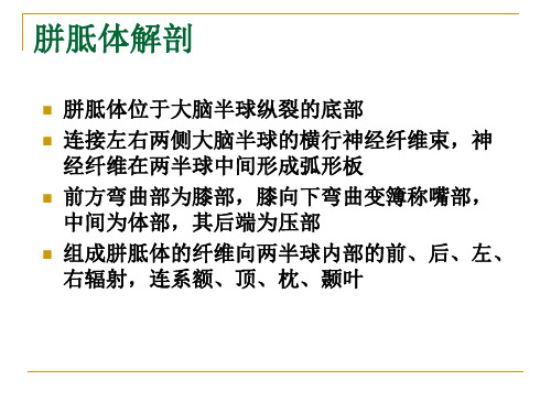 胼胝体发育不良临床表现主要有发育迟缓