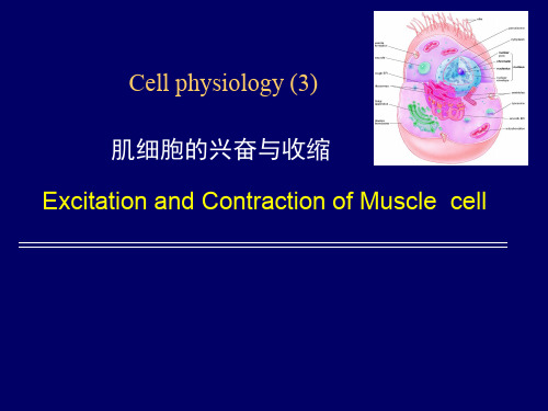 细胞生理学(3n)