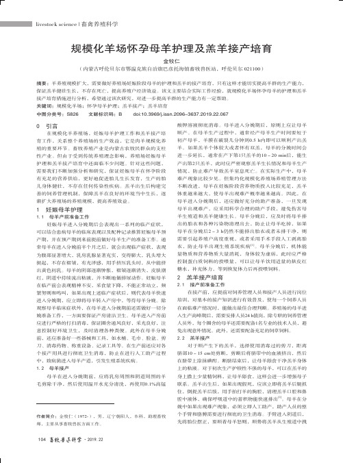 规模化羊场怀孕母羊护理及羔羊接产培育