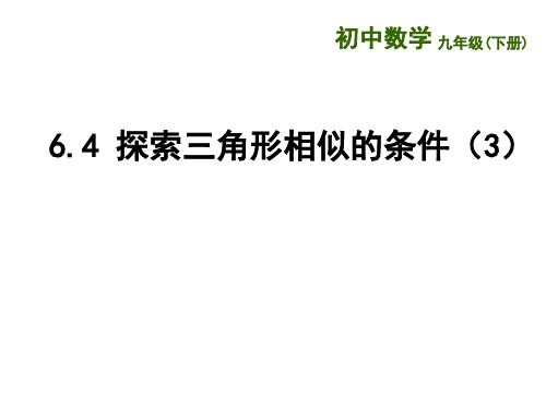 6.4  探索三角形相似的条件(3)