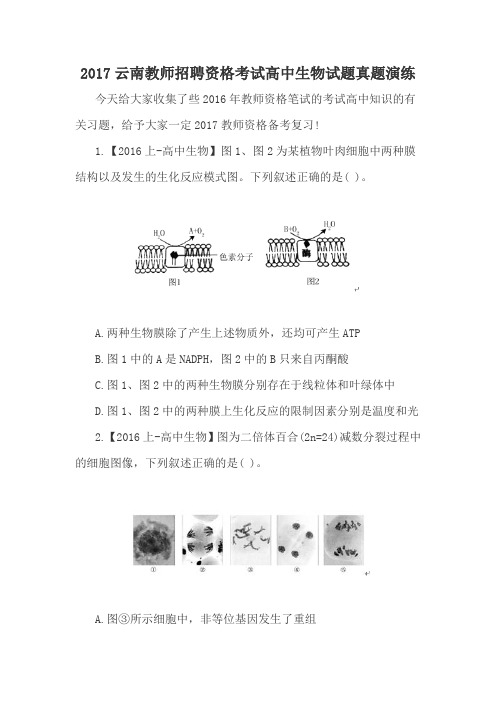 2017云南教师招聘资格考试高中生物试题真题(附答案)