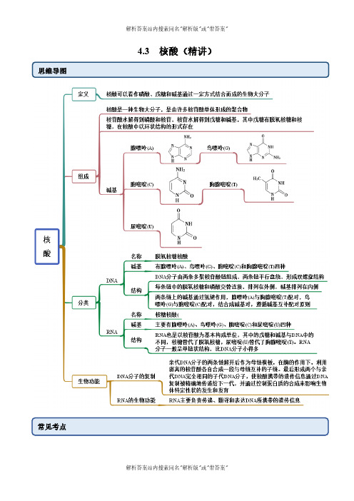 2024-2025高二化学人教版三举一反三4.3核酸(精讲)(解析版)