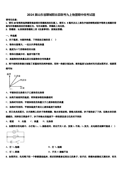 2024届山东省聊城阳谷县联考九上物理期中统考试题含解析