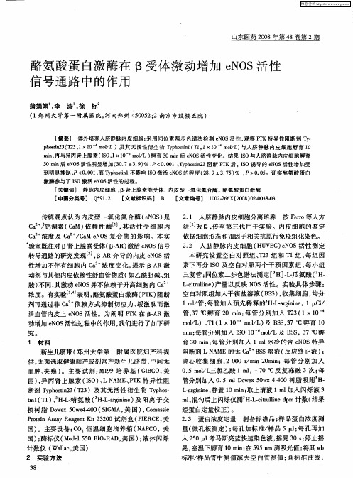 酪氨酸蛋白激酶在β受体激动增加eNOS活性信号通路中的作用