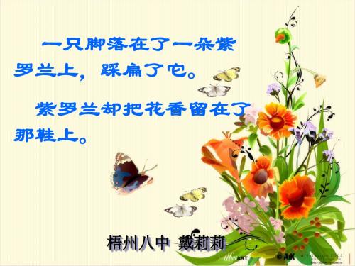 宽容序言 PPT课件 104 人教版