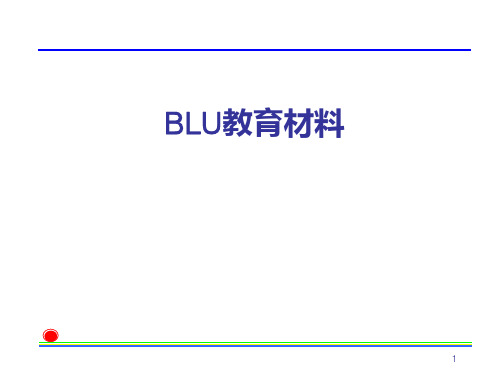 BLU 讲义(中文)——开发部提供