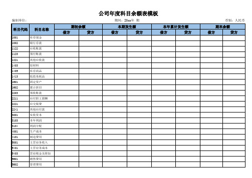 公司年度科目余额表模板