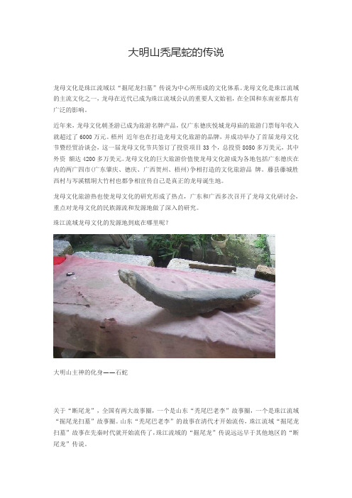 大明山秃尾蛇的传说