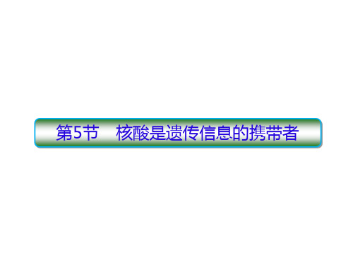 高中生物新人教版必修1核酸是遗传信息的携带者课件(共45张)