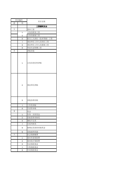 支出经济分类科目表 