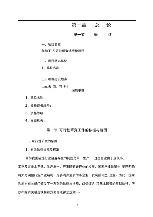 年加工5万吨磁选铁精粉项目可行性研究报告