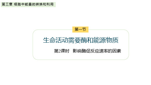 【高中生物】影响酶促反应速率的因素课件+高一上学期生物苏教版(2019)必修1