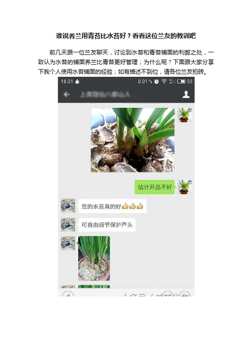 谁说养兰用青苔比水苔好？看看这位兰友的教训吧