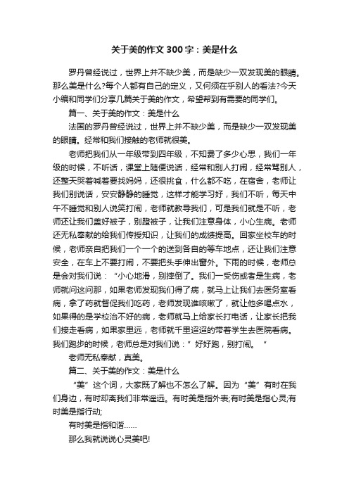 关于美的作文300字：美是什么