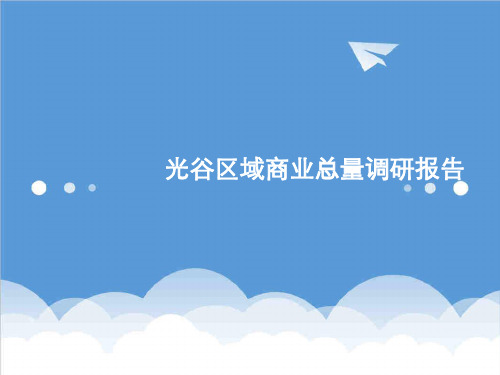 推荐-市场调研商业市场湖北武汉思锐光谷区域城市综合体商业总量调研报告1 精品