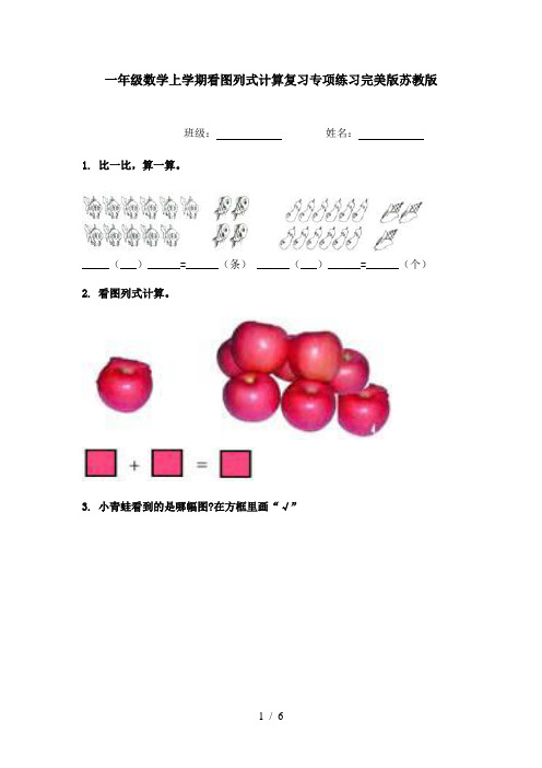 一年级数学上学期看图列式计算复习专项练习完美版苏教版