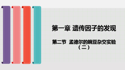 孟德尔的豌豆杂交实验(二)人教版高中生物必修二ppt推荐