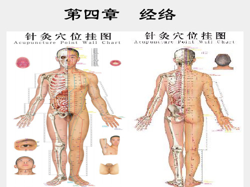 经络学说