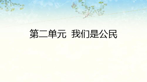 部编版道德与法治六上第二单元我们是公民复习课件