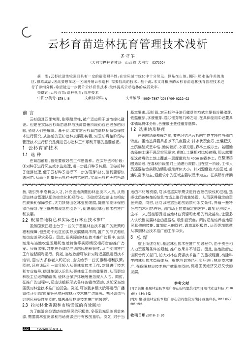 云杉育苗造林抚育管理技术浅析