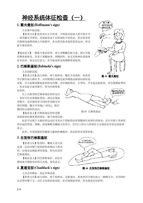 神经系统体征检查