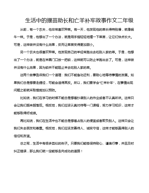 生活中的揠苗助长和亡羊补牢故事作文二年级