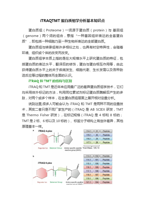 iTRAQTMT蛋白质组学分析基本知识点