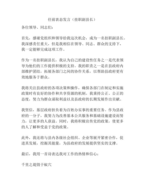 任前表态发言(挂职副县长)