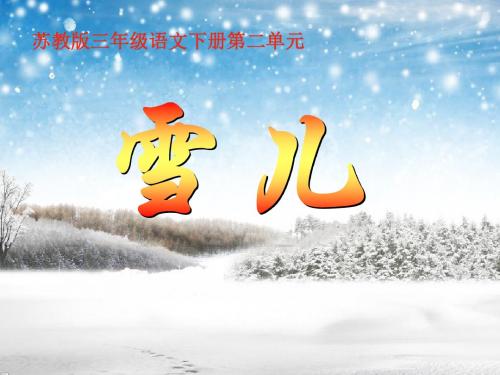 《雪儿》PPT课件5