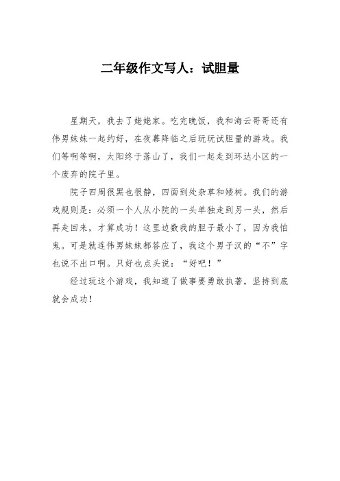 二年级作文写人:试胆量