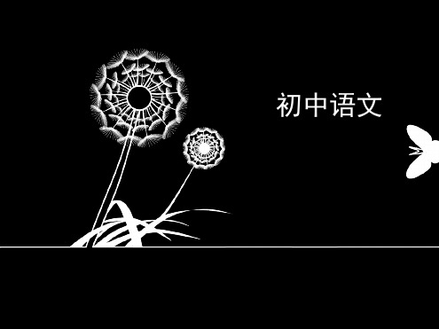 《乡愁》优秀ppt课件