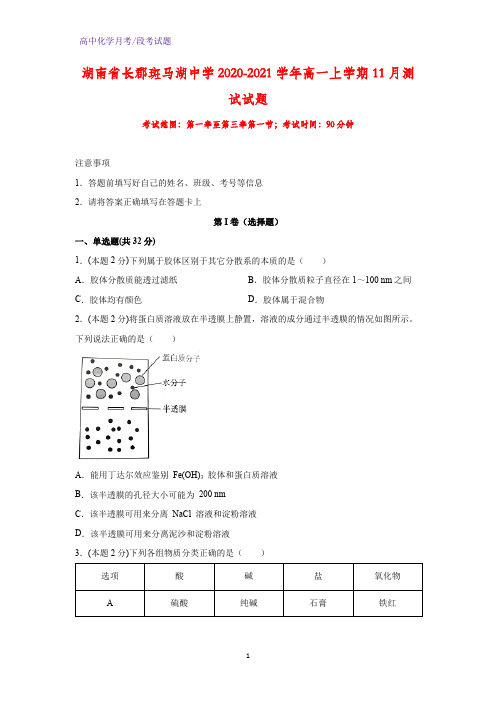 2020-2021学年湖南省长郡斑马湖中学高一上学期11月测试化学试题(解析版)