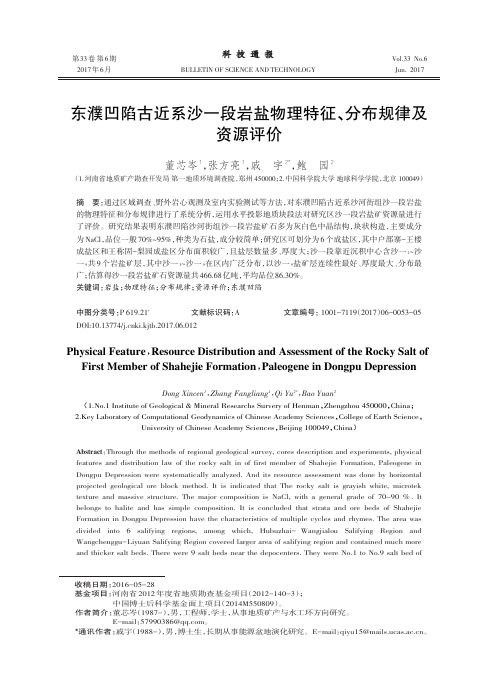 东濮凹陷古近系沙一段岩盐物理特征、分布规律及资源评价