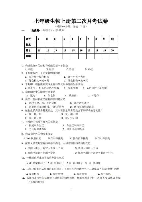 七年级生物上册第二次月考试卷及答案