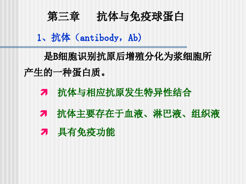 微生物兽医免疫第三章抗体与免疫球蛋白