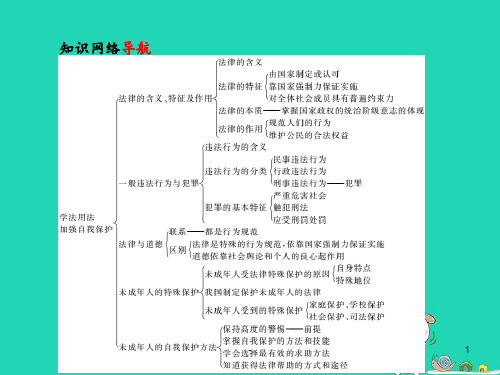 中考政治第一部分系统复习成绩基石板块三学法用法加强自我保护PPT课件