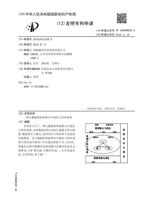 一种大数据的智能聚合可视化与管控系统[发明专利]