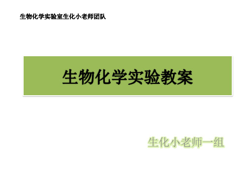 氨基酸的分离鉴定——纸层析法