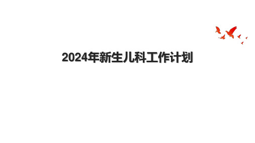 2024年新生儿科工作计划.pptx