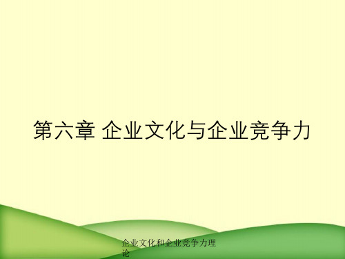 企业文化和企业竞争力理论