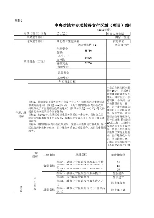 整体支出绩效自评表