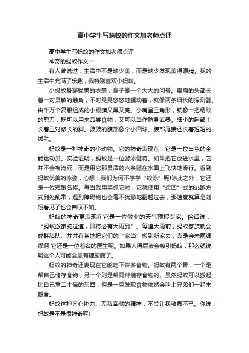 高中学生写蚂蚁的作文加老师点评