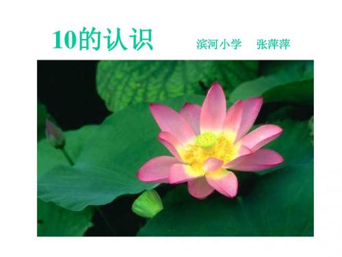 一年级数学10的认识2