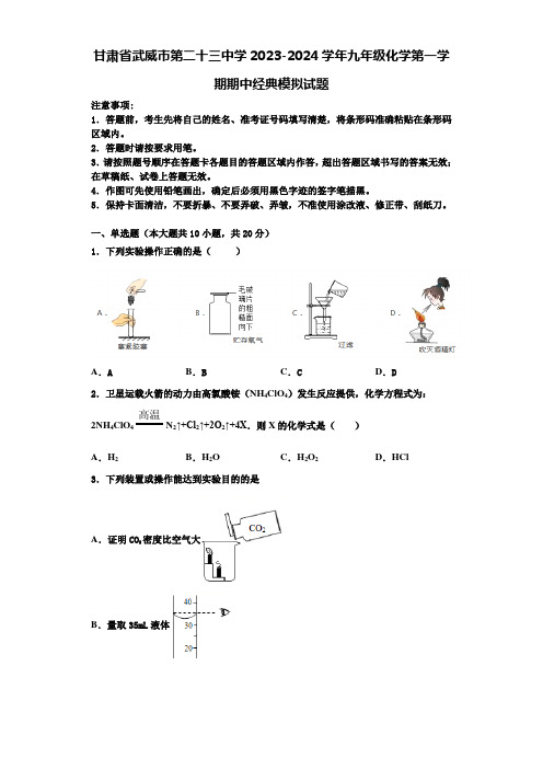 甘肃省武威市第二十三中学2023-2024学年九年级化学第一学期期中经典模拟试题含解析