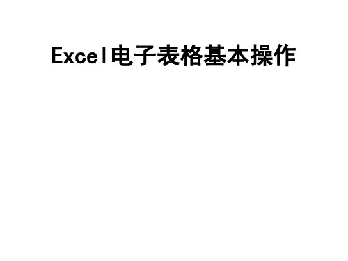 Excel电子表格基本操