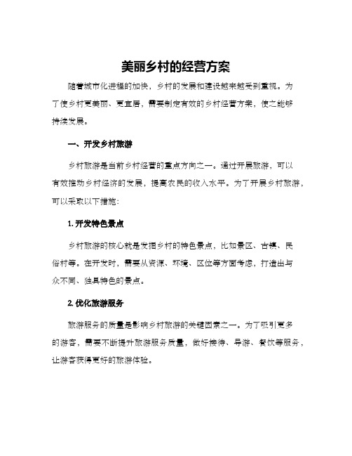 美丽乡村的经营方案