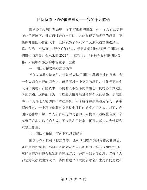 团队协作中的价值与意义——我的个人感悟