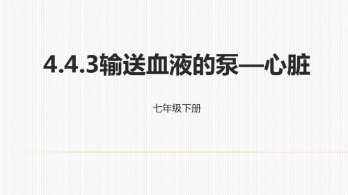 人教生物七年级下册4.4.3输送血液的泵—心脏课件 (共19张PPT)
